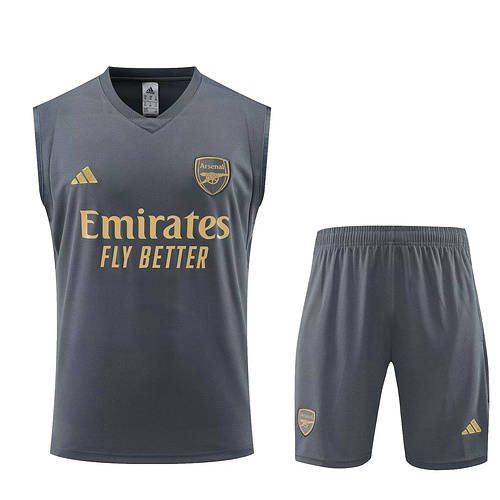 23/24 Arsenal Training Soccer Vest Soccer Jerseys