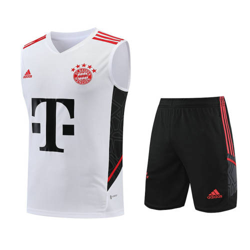 23/24 Bayern Training Soccer Vest