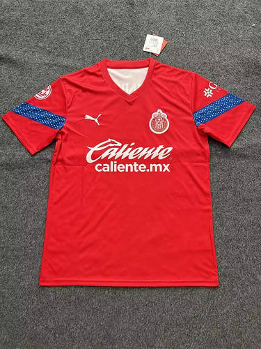 23/24 Chivas Training Soccer Jerseys