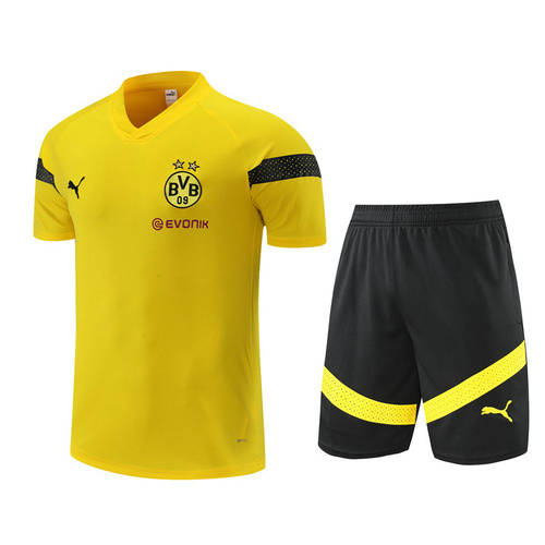 22/23 Dortmund Training Soccer Jerseys