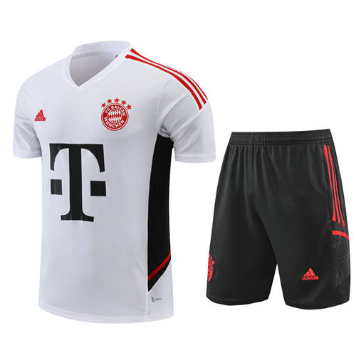 22/23 Bayern Training Soccer Jerseys