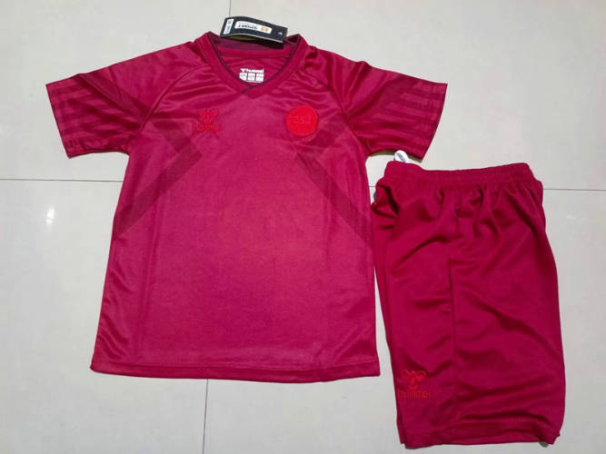 2022 Denmark Home Kids Soccer Jerseys