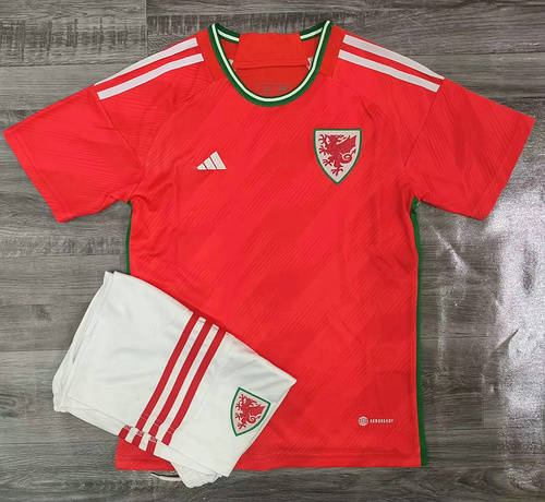 2022 Wales Home Kids Soccer Jerseys