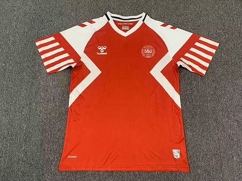 2023 Denmark Home Soccer Jerseys