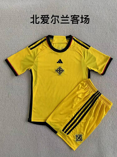 23/24 Northern Ireland Away Adults And Kids Soccer Jerseys