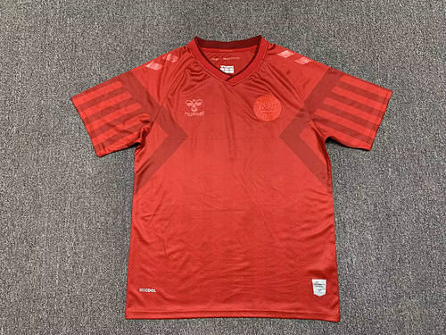 2022 Denmark Home World Cup Soccer Jerseys