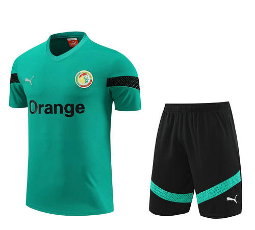 2022 Senegal Training Soccer Jerseys