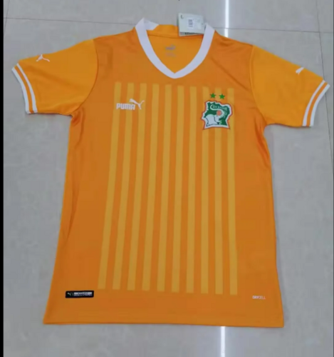 22/23 Côte dIvoire Home Soccer Jerseys