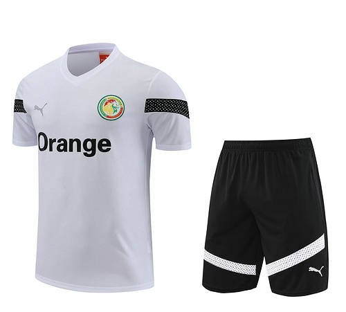 2022 Senegal White Training Soccer Jerseys