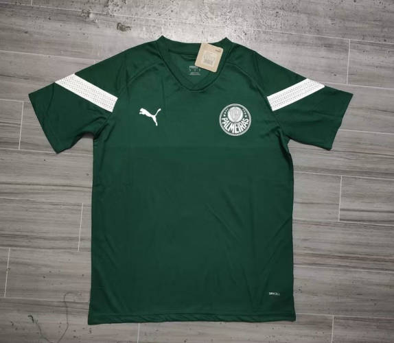 23/24 Palmeiras Training Soccer Jerseys