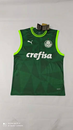 23/24 Palmeiras Green Soccer Vest