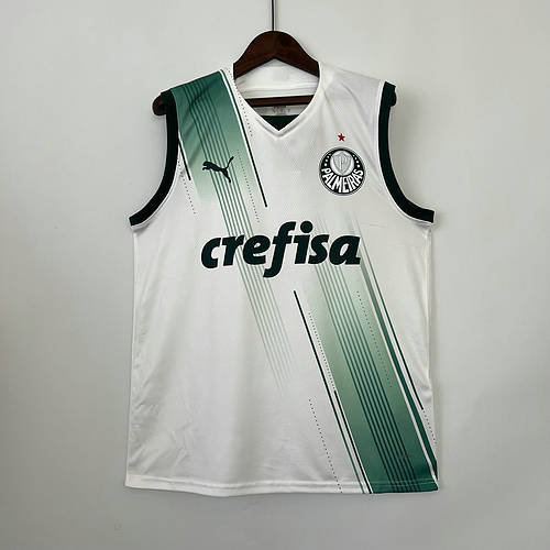 23/24 Palmeiras Soccer Vest