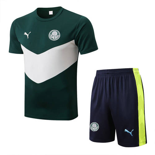 22/23 Palmeiras Training Soccer Jerseys