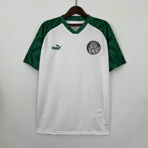 23/24 Palmeiras Training Soccer Jerseys