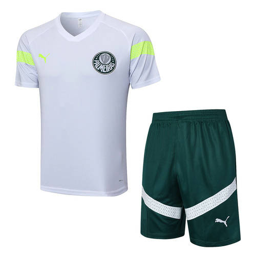 23/24 Palmeiras Training Soccer Jerseys