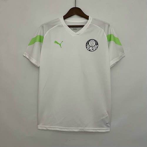 23/24 Palmeiras Training Soccer Jerseys