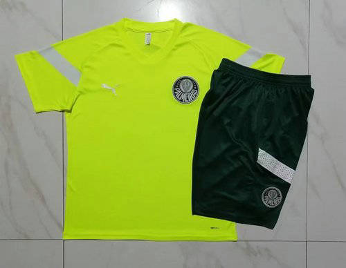 23/24 Palmeiras Training Soccer Jerseys