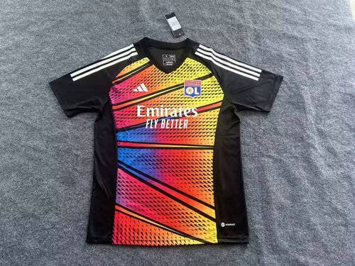 23-24 Lyon Training Soccer Jerseys