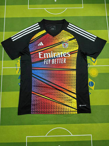 23/24 Benfica Special Soccer Jerseys