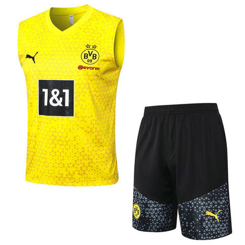 23/24 Dortmund Training Soccer Vest