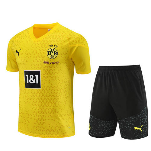 23/24 Dortmund Training Soccer Jerseys