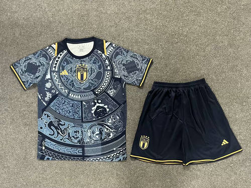 23/24 Italy Special Soccer Jerseys