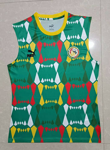 23/24 Senegal Soccer Vest