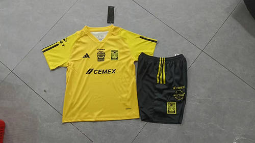 23/24 Tigre Training Kids Soccer Jerseys