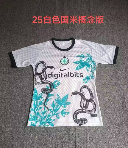 24/25 Inter Milan Special Soccer Jerseys