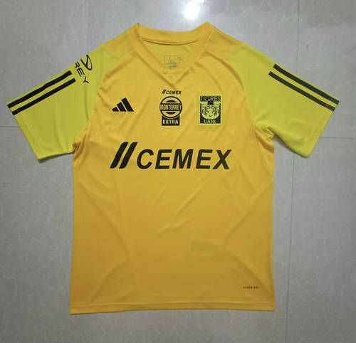 23/24 Tigre Training Soccer Jerseys