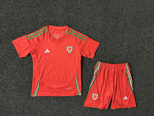 2024 Wales Home Kids Soccer Jerseys