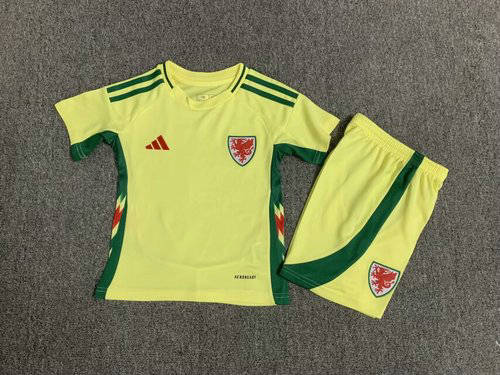 2024 Wales Away Kids Soccer Jerseys