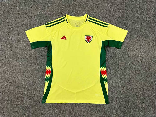 2024 Wales Away Soccer Jerseys