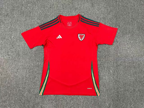 2024 Wales Home Soccer Jerseys