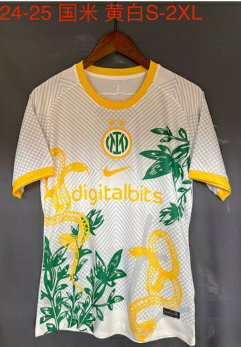 24/25 Inter Milan Special Soccer Jerseys