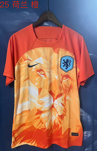 24/25 Netherlands Training Soccer Jerseys