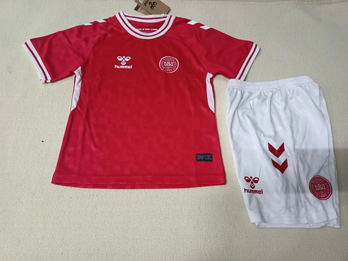 2024 Denmark Home Kids Soccer Jerseys