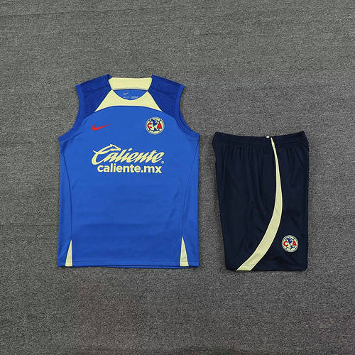 24/25 Club America Training Soccer Vest