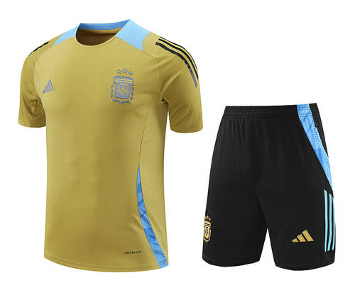 2024 Argentina Training Soccer Jerseys