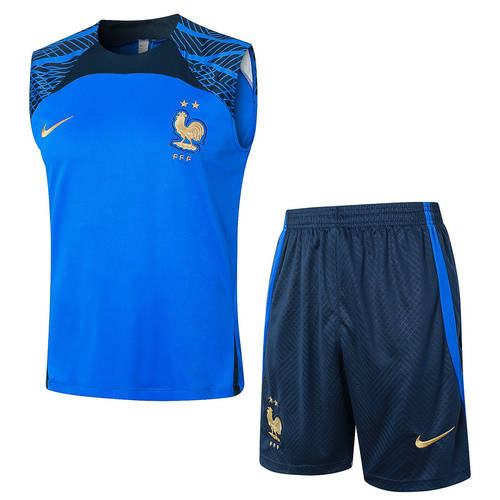 2024 France Training Soccer Vest