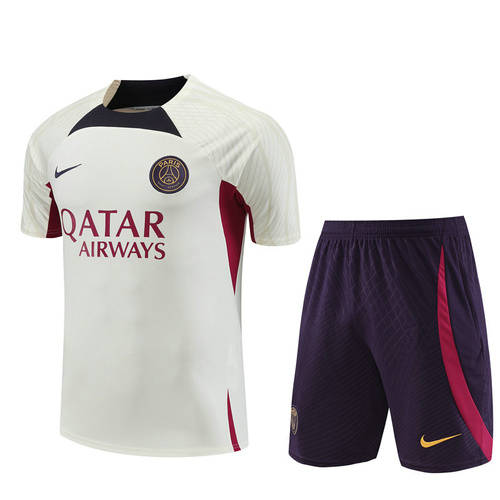 23/24 Paris Training Soccer Jerseys