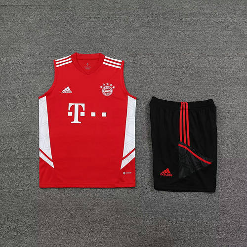 23/24 Bayern Training Soccer Vest