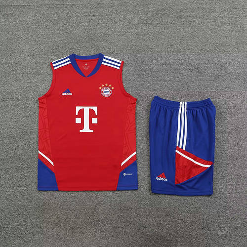 23/24 Bayern Training Soccer Vest