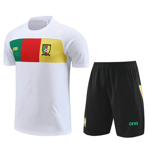 23/24 Cameroon Training Soccer Jerseys