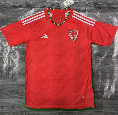 2022 Wales Home World Cup Soccer Jerseys