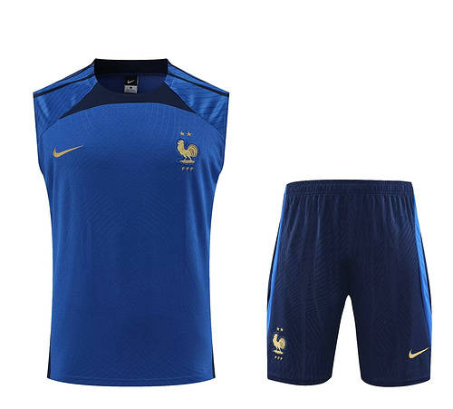 2023 France Training Soccer Vest