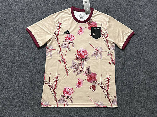 2023 Japan Special Soccer Jerseys