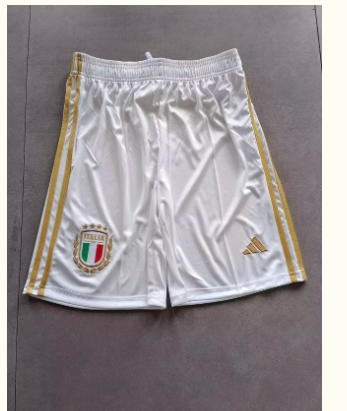 2023 Italy 125th Soccer Shorts