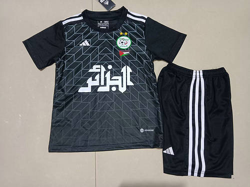 23/24 Algeria Adults And Kids Soccer Jerseys