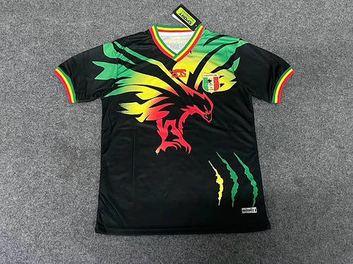 2023 Mali Soccer Jerseys